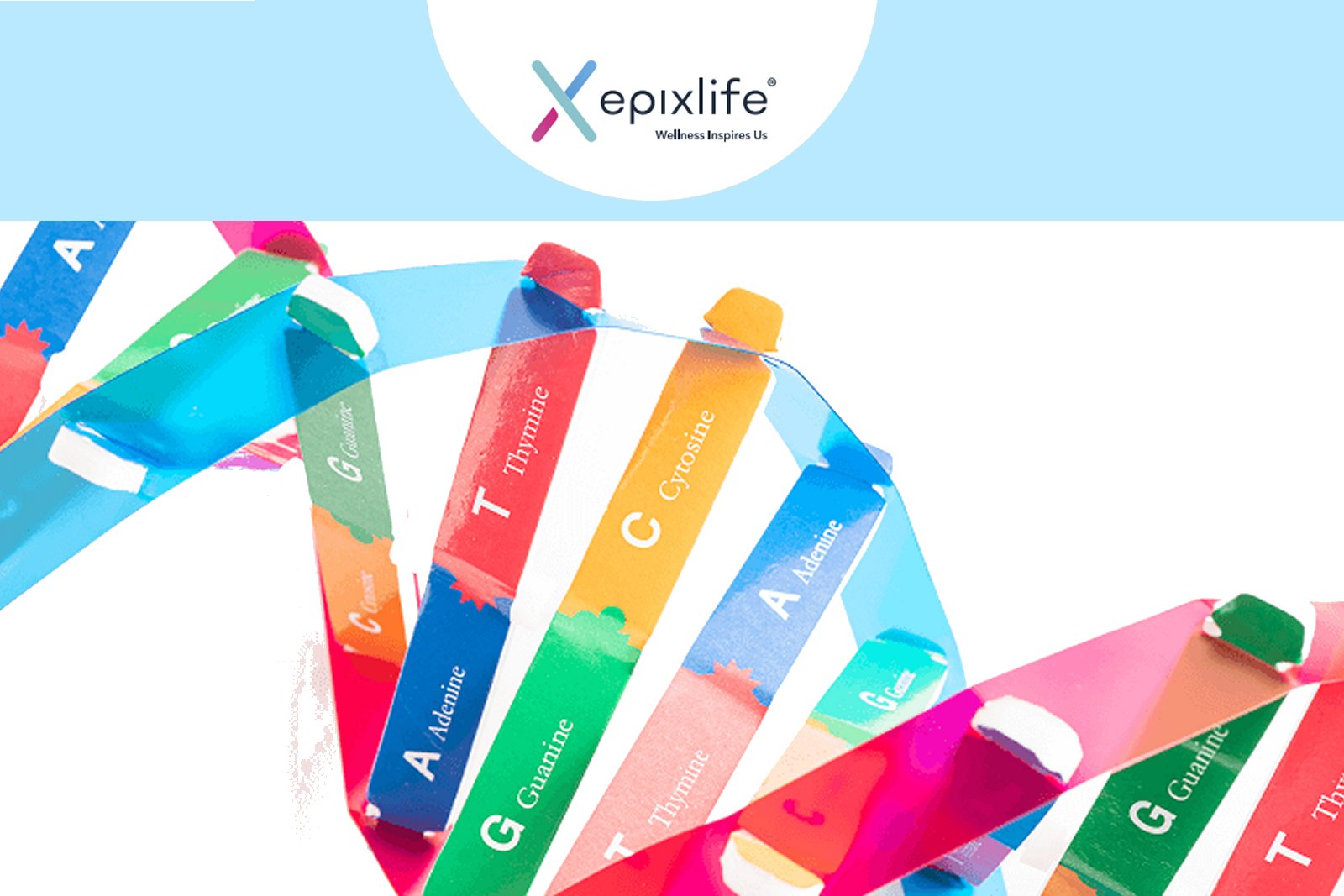 Nutrição Injetável